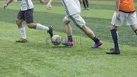 宝威体育 资讯 120110 wc5